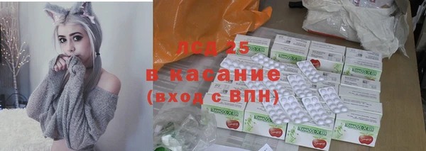 гашик Зеленокумск